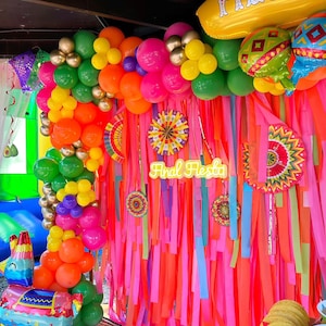 Mexican fiesta backdrop/taco party backdrop/colorful backdrop for birthday parties