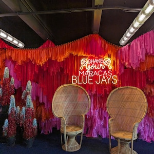 Ceiling install fringes/ fringes/wedding decorations/ aerial decorations/ party backdrop