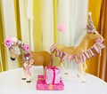 Pony and horse theme/Cow girl caketopper/ horse caketopper/farm  caketopper /pony caketopper