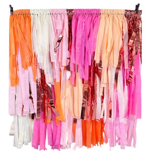 Disco in desert/Bachelorette party backdrop/bridal shower party backdrop/pink and orange backdrop for birthday parties