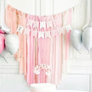 Wild and young Birthday backdrop fringes/pink omber plastic streamers
