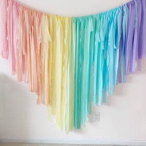 Pastel rainbow backdrop plastic streamers/baby shower backdrop fringes light color rainbow party decor