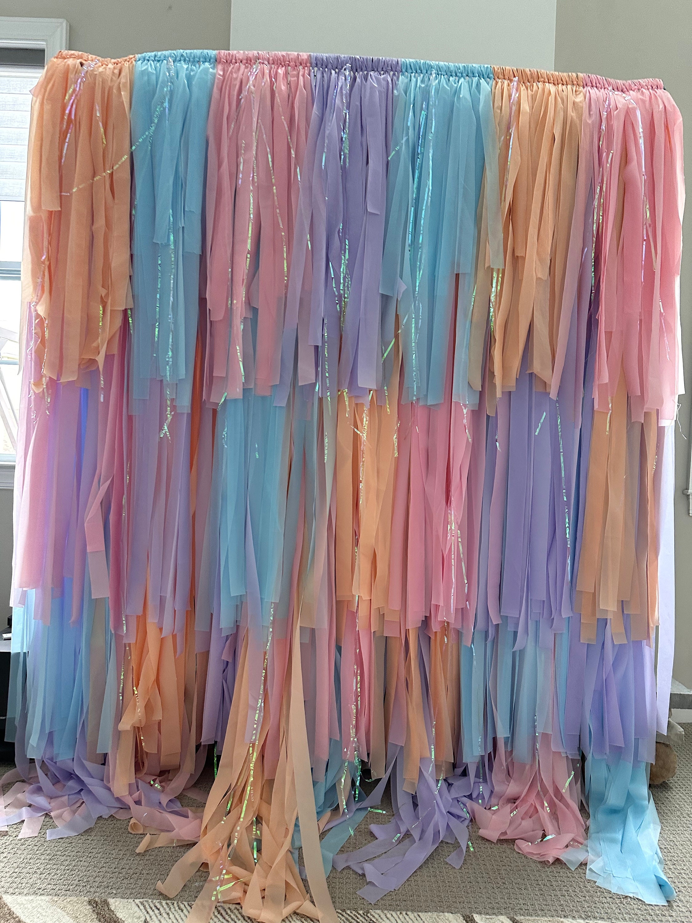 Reusable Fringe Backdrop – Pre-assembled, ready to hang.