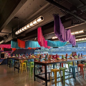 Ceiling install fringes/ fringes/wedding decorations/ aerial decorations/ party backdrop