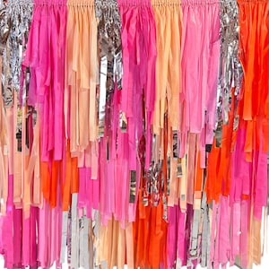 Veuve/Bachelorette party backdrop/bridal shower party backdrop/pink and orange backdrop for birthday parties