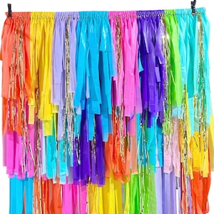 Mexican fiesta backdrop/taco party backdrop/colorful backdrop for birthday parties/rainbow