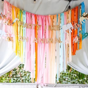 Party animals/safari Birthday backdrop fringes/plastic streamers/ party animals fringes