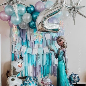 Frozen party backdrop/netting party backdrop/wall backdrop for birthday parties