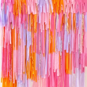 Streamer Backdrop, Fringe Backdrop, Color Birthday Party Decorations, Photo  Backdrop, Fiesta, Bachelorette Party, Pink and Orange 