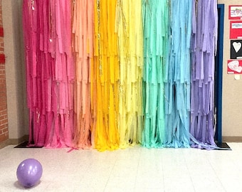 Rainbow/ bluey theme/art party backdrop/colorful party backdrop/bright rainbow/backdrop for birthday parties