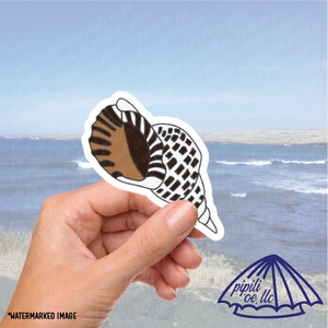May include: A brown and black seashell sticker with a white outline. The sticker is held in a hand against a blue ocean background.