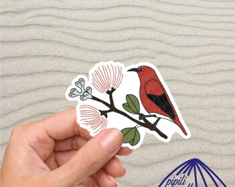 Apapane Sticker - Hawaii Bird Sticker - Bird Sticker - Hawaiian Sticker - Sticker for Cups - Tumblers - Tablets - Laptop - Flasks - Folders