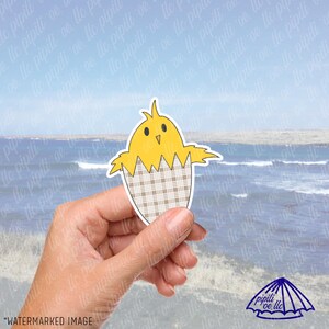 Chick-In-Egg Sticker - Hand Drawn Sticker - Chick Sticker - Chicken Sticker - Designed in Hawaii - Sticker for Laptop - Tumblers - Flasks