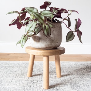 Könnte beinhalten: Ein kleiner Holzhocker mit drei Beinen, der einen grauen Keramiktopf mit einer grünen und violetten Pflanze trägt.