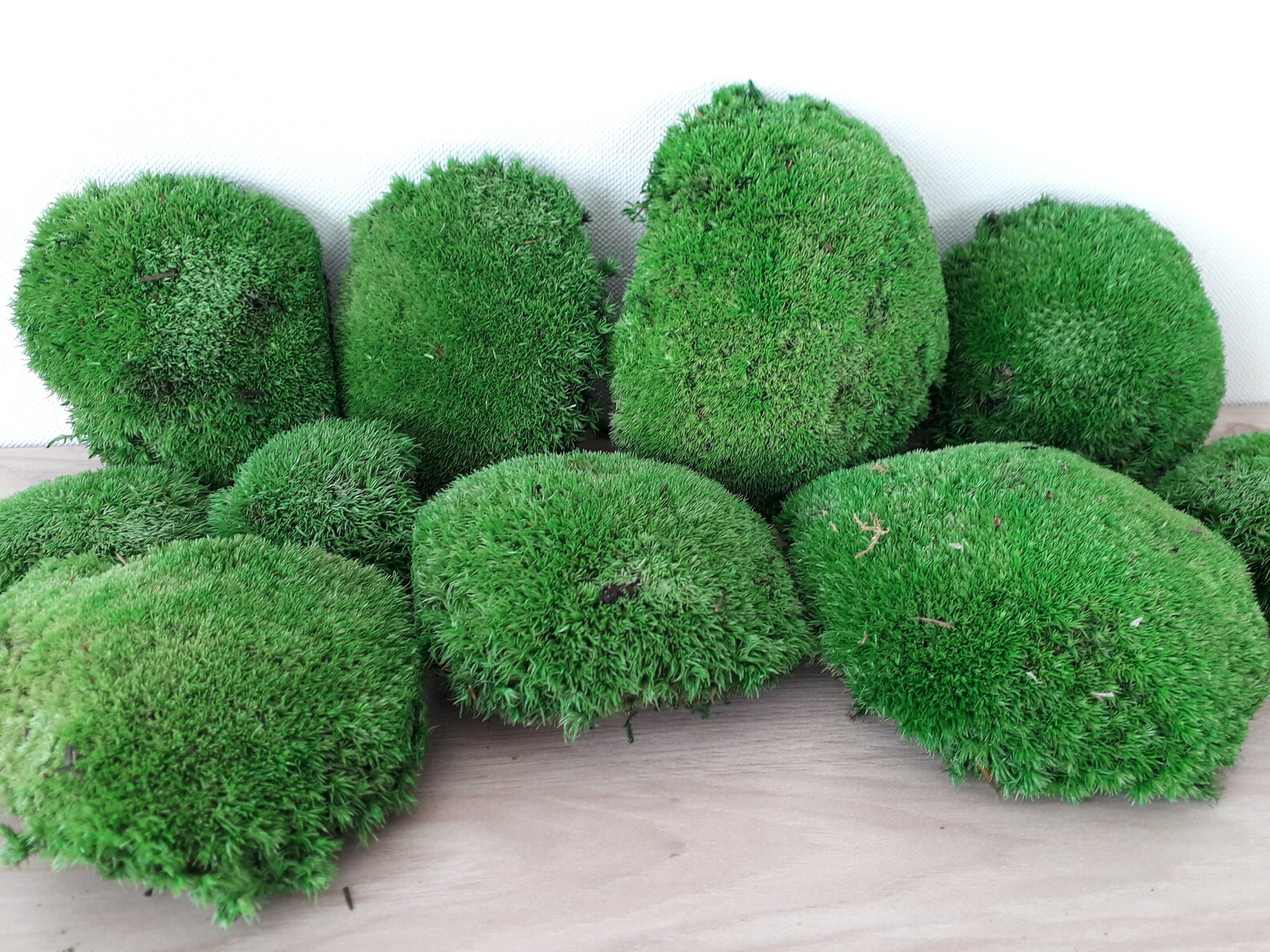 Mousse boule stabilisée Vert - grand conditionnement - PRO