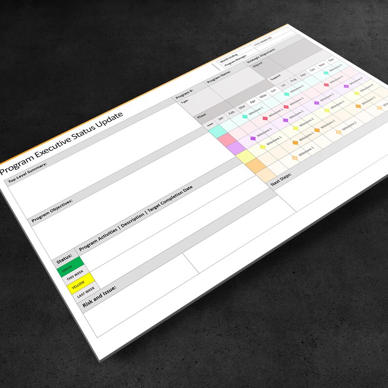 May include: A program executive status update template with a calendar grid, program objectives, program activities, description, target completion date, status, risk and issue, and next steps sections.