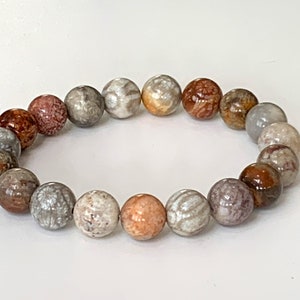 May include: A bracelet made of round, multi-colored fossilized coral beads. The beads are a mix of light brown, beige, and white with a mottled pattern.