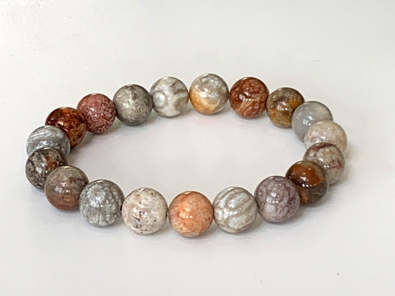 May include: A bracelet made of round, multi-colored fossilized coral beads. The beads are a mix of light brown, beige, and white with a mottled pattern.