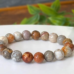 Fossil Coral Bracelet: 10mm Gemstone Beads, Earthy Jewelry Stretch Cord