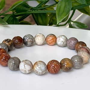 May include: A bracelet made of brown, white, and orange fossilized stone beads.