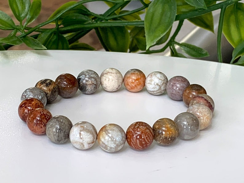 May include: A bracelet made of brown, white, and orange fossilized stone beads.