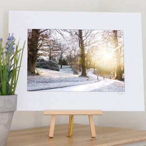 以下が含まれることがあります： 木々が両側に並ぶ雪道が森の中を蛇行している写真が額装されています。遠くで太陽が明るく輝き、温かい光を放っています。道は霜で覆われ、木々は葉を落としています。