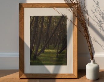 zonnige bosprint, litouwse prenten, natuurprints, kunst aan de muur, interieur, kunstprints