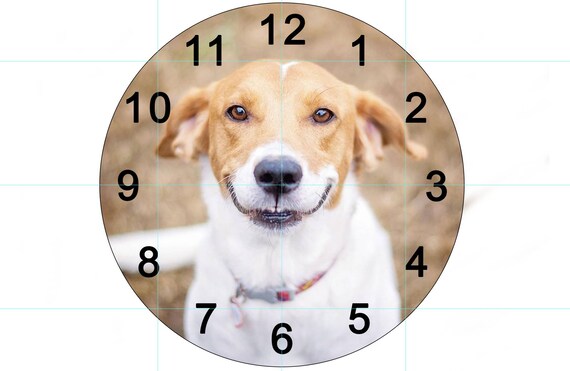 Clock Face Generator | Interactive Clock – CWSC
