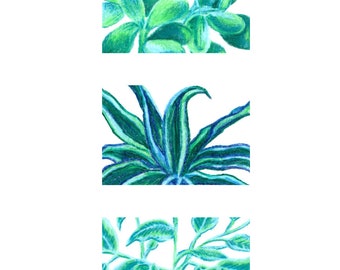 A5 Plant, Nature Illustration, Digital Print, Variation 2