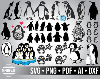 Download Penguin Mandala Etsy