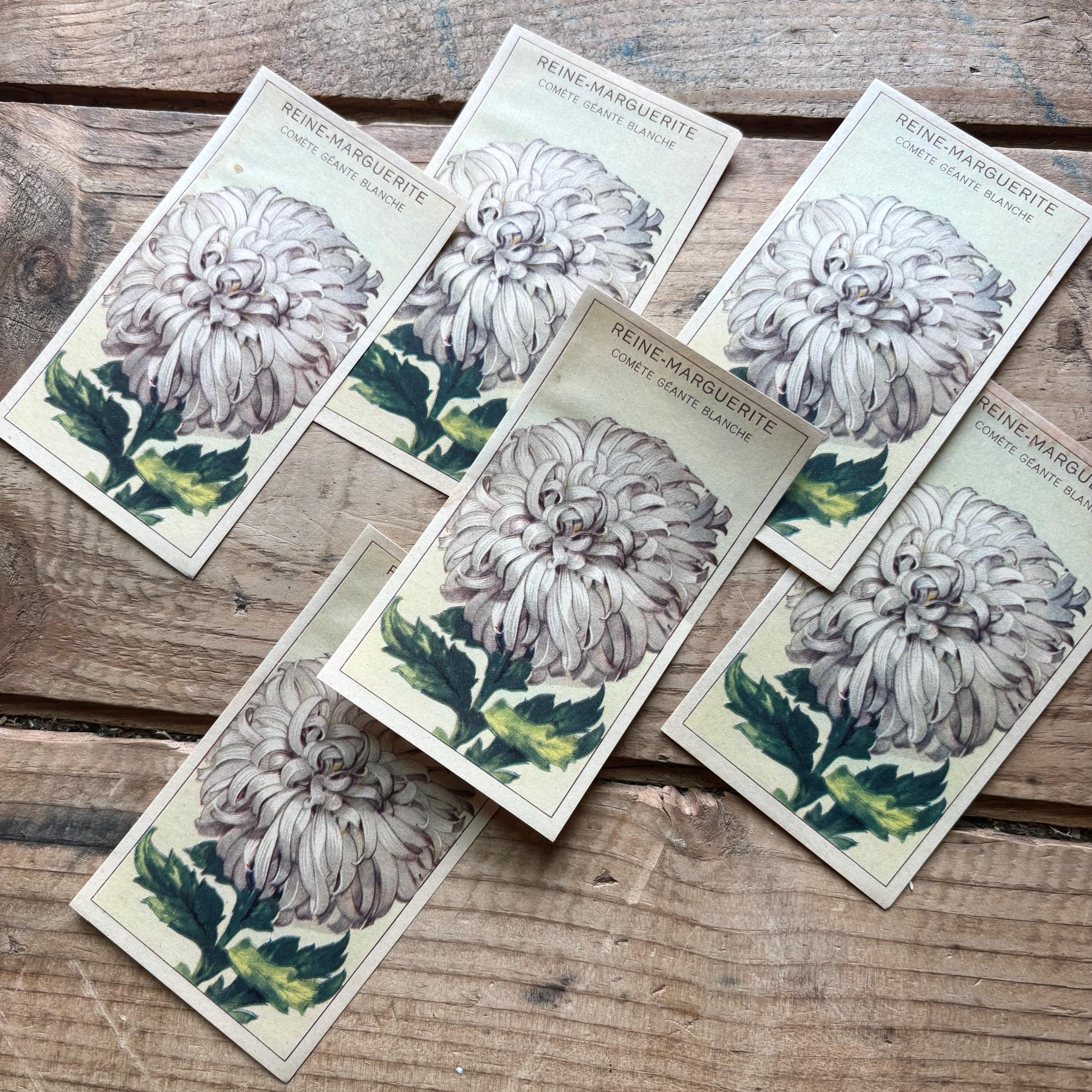 French Flower Seed Packet Labels (1930s) | Lots of One, Three or Five ...