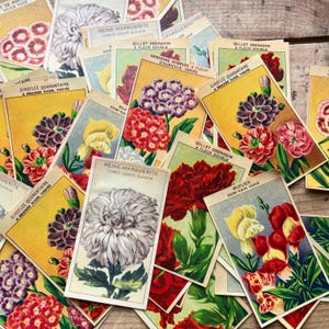 May include: A collection of vintage seed packets featuring colorful floral illustrations. The packets display various flower types, including dahlias and carnations, with text in French. The packets are arranged on a wooden surface.