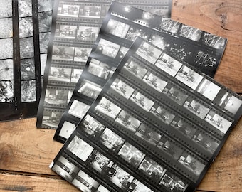 Puede incluir: Una colección de hojas de contacto fotográficas en blanco y negro con múltiples filas de pequeños negativos de película rectangulares. Las hojas muestran varias escenas interiores y exteriores, incluyendo patrones florales.