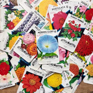 Sachets de graines vintage (années 1940) | Lots de un, cinq ou dix | Lone Star Seed Co. | Éphémères vintage | Journal indésirable, Scrapbooking, Loisirs créatifs