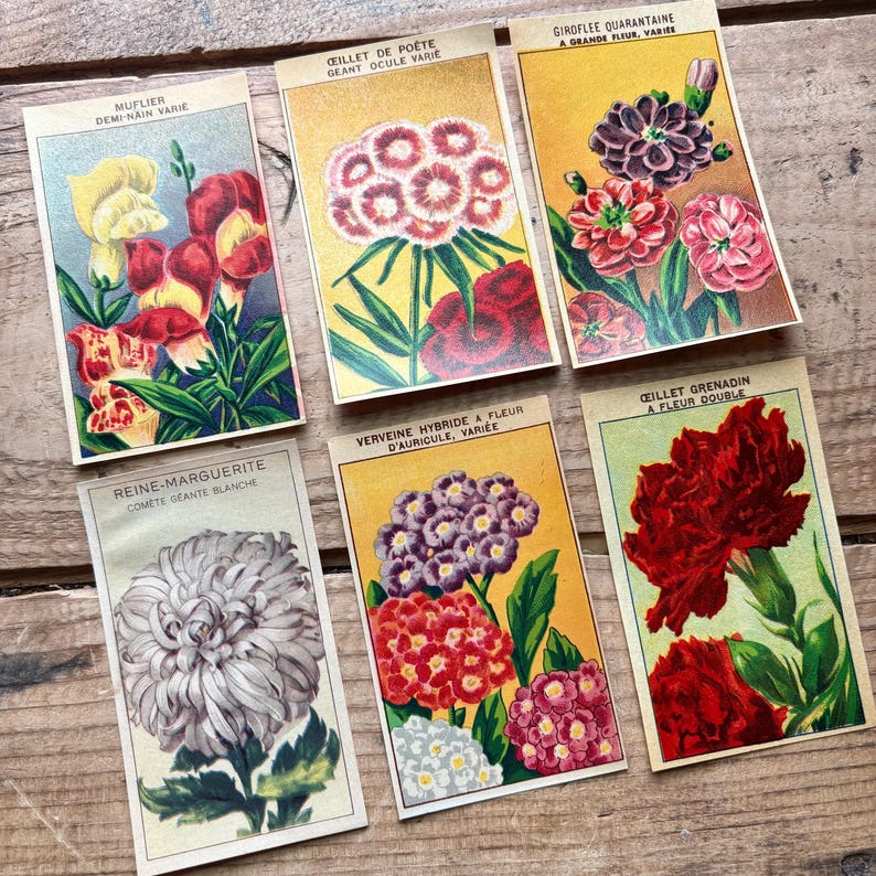 French Flower Seed Packet Labels (1930s) | Lots of One, Three or Five ...