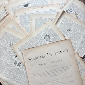 Páginas de diccionario antiguo, lotes de 20 páginas (1895) / Ilustrado / Diarios basura, Scrapbooking, Manualidades / Lote de efímeras vintage, Enciclopedia