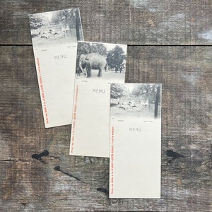 French Menus, early 1900s | Antique Advertising Ephemera | Zoological Park, Elephants, Birds | Antwerp, Belgium | Advertising