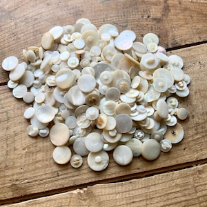 Antique Shell Buttons (early 1900s) | Lots of Four, Six, Eight | Three Sizes | 1/4&quot; - 1-1/2&quot; Diameter | Vintage Pearl | Sewing, Crafting