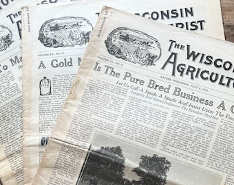 The Wisconsin Agriculturist Newspaper (1916) | Vintage Midwest Farm Magazine | Gardening, Poultry, Livestock | Junk Journaling, Ephemera