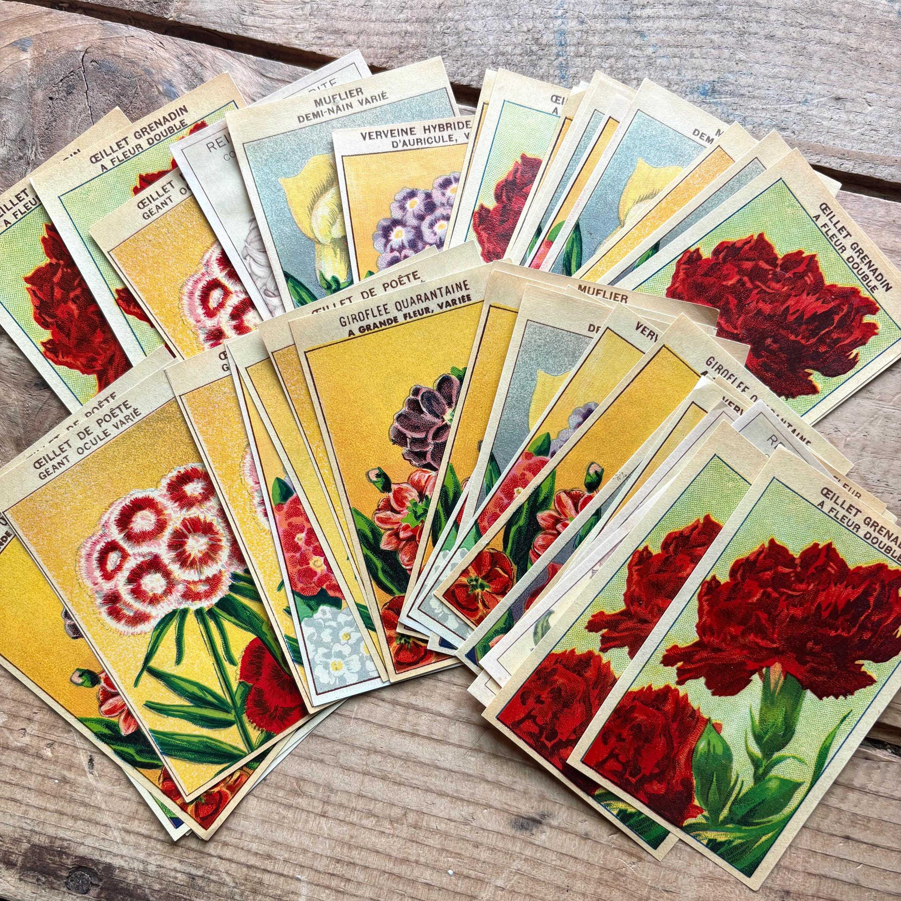 French Flower Seed Packet Labels (1930s) | Lots of One, Three or Five ...