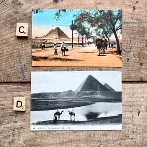 May include: Two vintage postcards depicting the Pyramids of Giza in Egypt. The first postcard shows a road leading to the pyramids with people riding camels. The second postcard shows a black and white image of the pyramids with a river in the foreground.