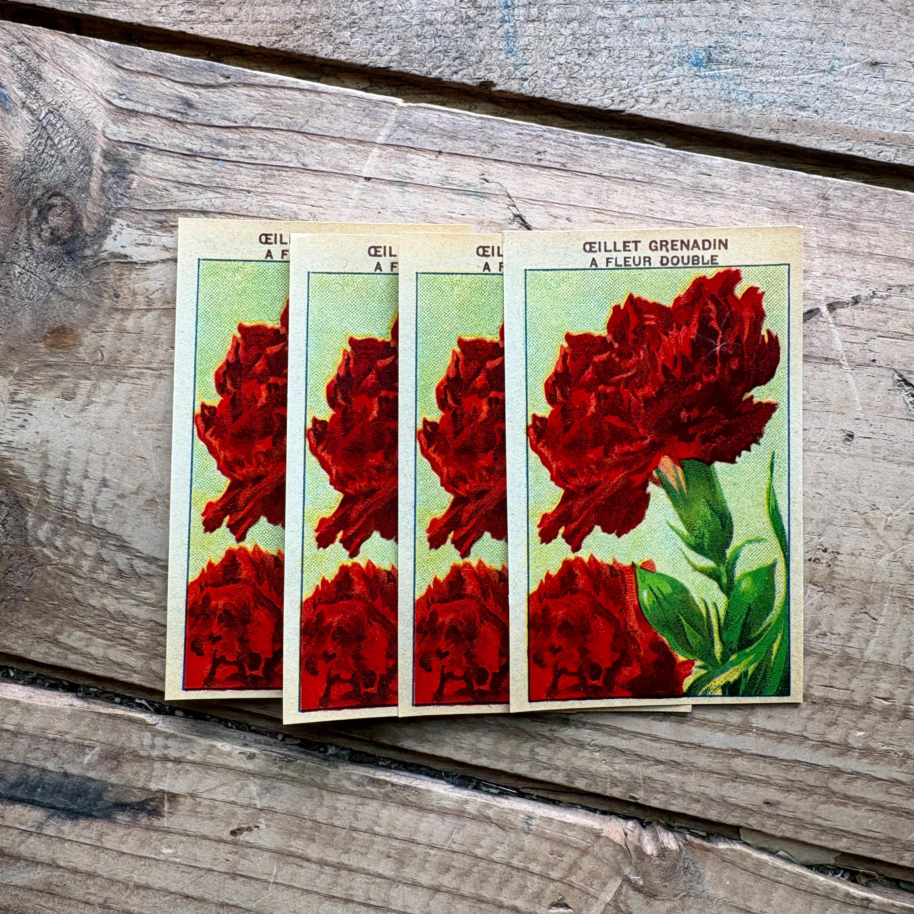 French Flower Seed Packet Labels (1930s) | Lots of One, Three or Five ...