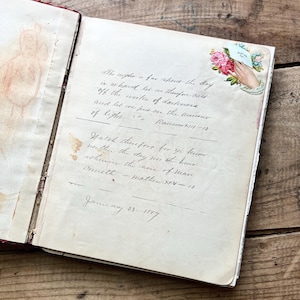 Victoriaans plakboek en handtekeningalbum (jaren 1890) | DuPage County (Illinois) | Antieke ephemera, visitekaartjes, schrift | Vintage rood fluweel