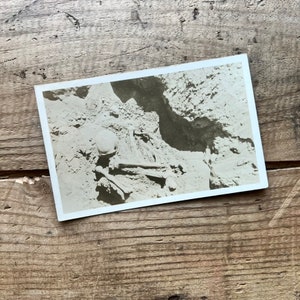 Carte postale avec photo, sépulture non identifiée (vers 1930) | CRPA | vintage squelette, crâne, tombe, archéologie | Noir, blanc | Antiquités | Halloween
