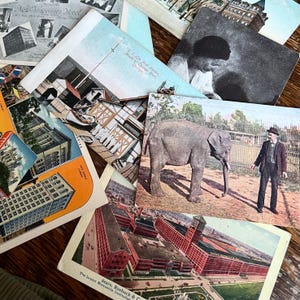 Cartes postales de Chicago, objets rares (vers 1910) | institut d'art, zoo, hôtels, hôpitaux, canot de sauvetage | Éphémères vintage du Midwest, souvenirs anciens |