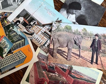 Chicago Postkarten, seltene Funde (ca. 1910er Jahre) | Kunstinstitut, Zoo, Hotels, Spitäler, Rettungsboot | Vintage Midwest Ephemera, antikes Souvenirs |