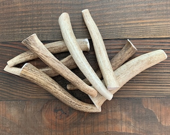 Medium Whole Elk Antler Dog Chew | Natural, Long Lasting