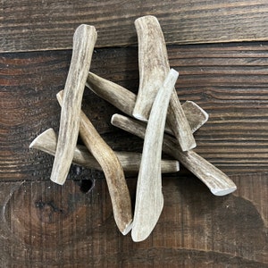 SMALL Whole Deer Antler Dog Chew | Antler Chew | Elk Antler Dog Chew | Antler Dog Chew | Organic Dog Chews | Antler Dog Treats | Deer Antler