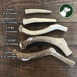 Deer Antler Dog Chew | Antler Chew | Whole Deer Antler Dog Chew | Shed Antler Chew | Organic Dog Chews | Premium Antler Dog Treats | Deer