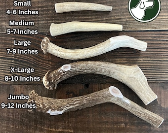 Whole Deer Antler Dog Chew | Long Lasting Organic Treat